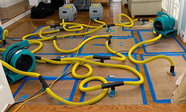 Professional Water Damage Repair technician working in Greene, RI